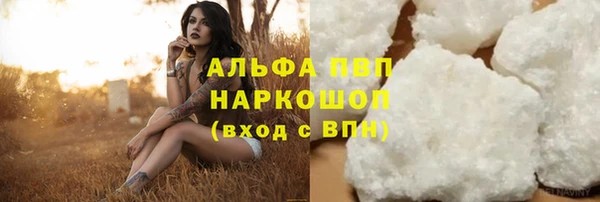 СК Бронницы
