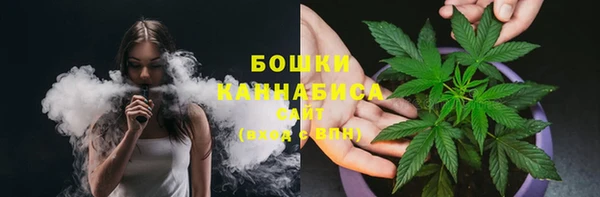 трава Долгопрудный