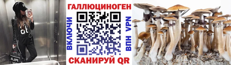Галлюциногенные грибы ЛСД Венёв